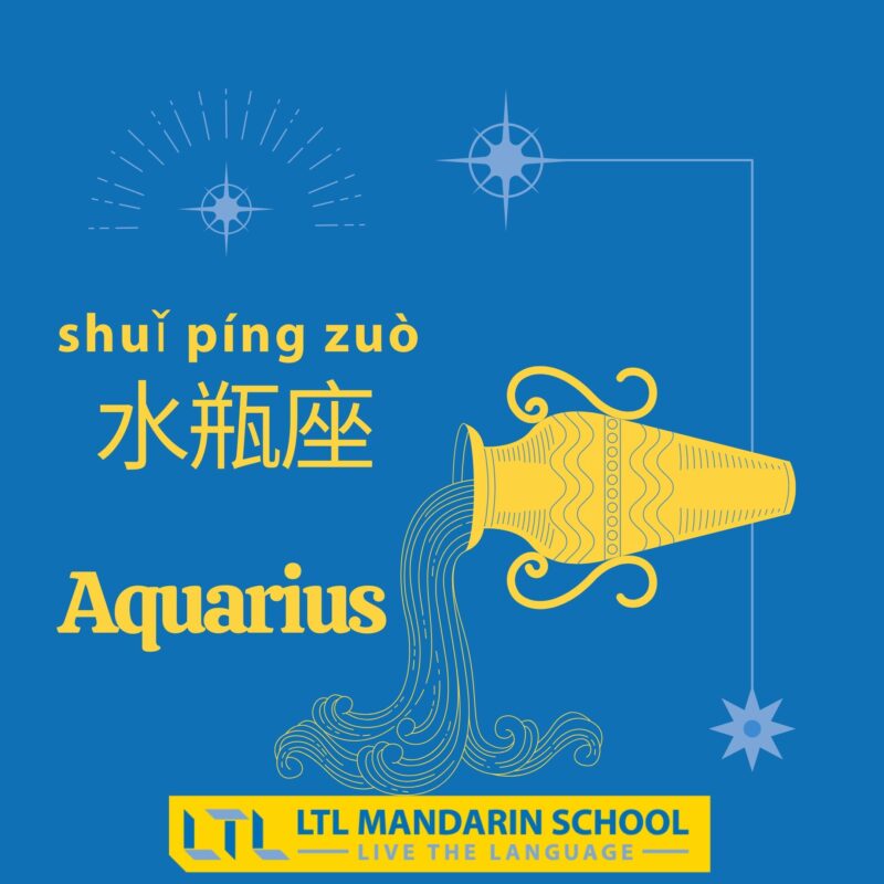 Aquarius in Chinese