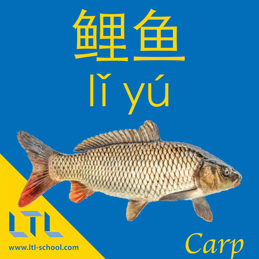 Carp in Chinese