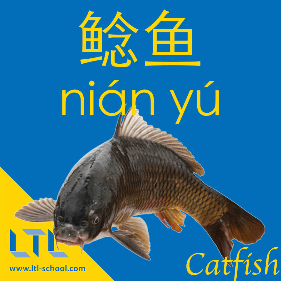 Catfish in Chinese