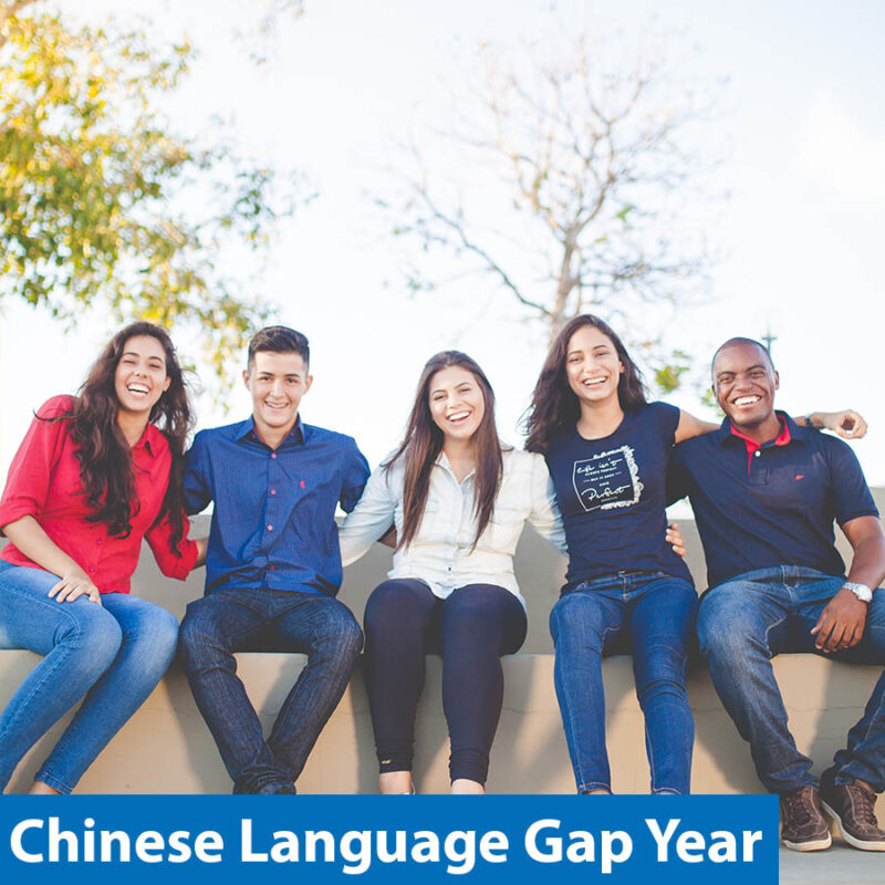 Chinese Language Gap Year