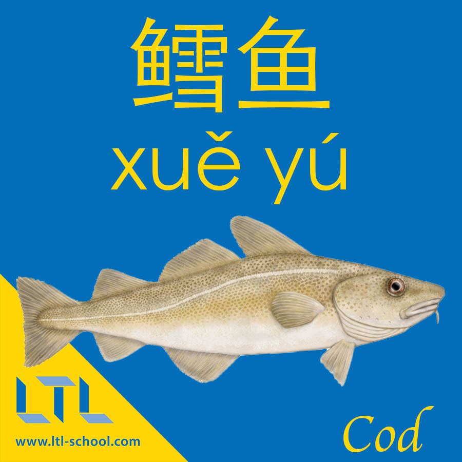 Cod in Chinese