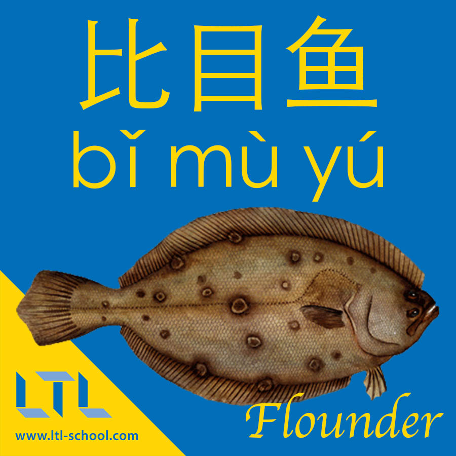 Flounder in Chinese