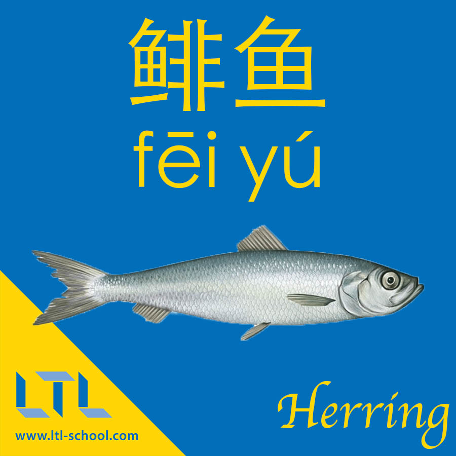 Herring in Chinese