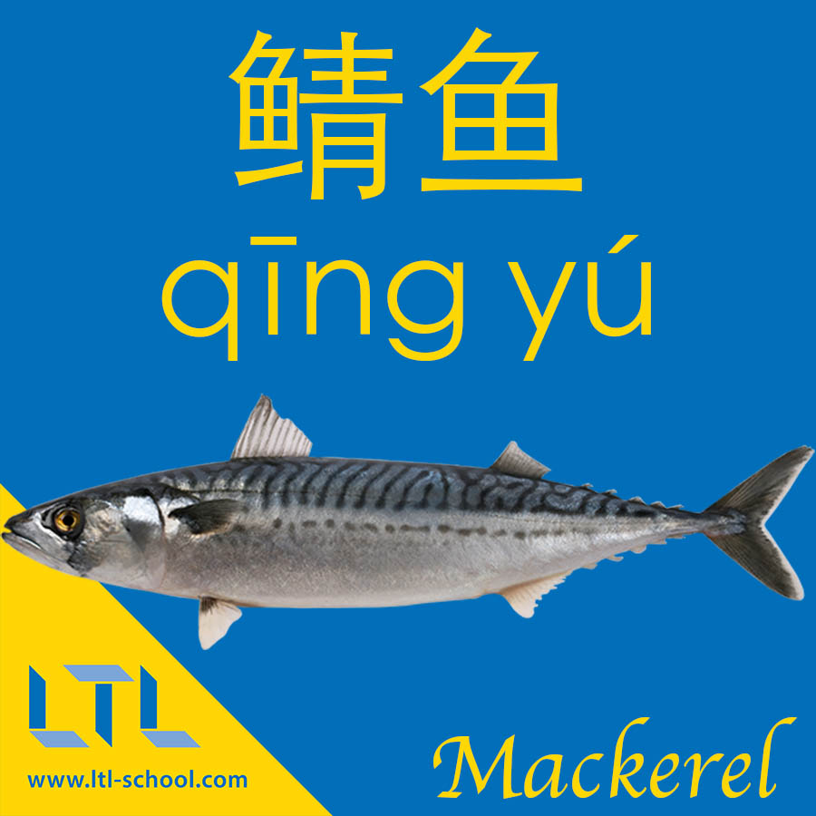 Mackerek in Chinese