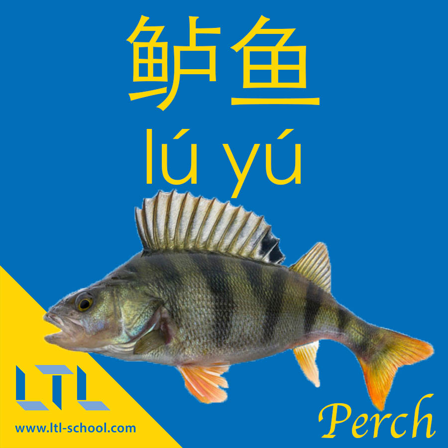 Perch in Chinese