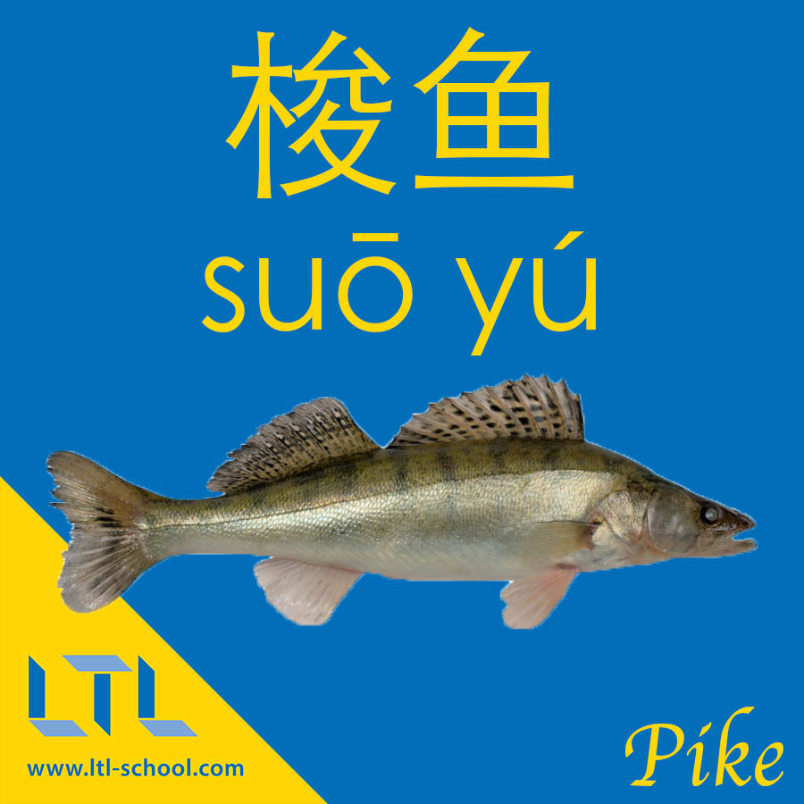 Pike in Chinese