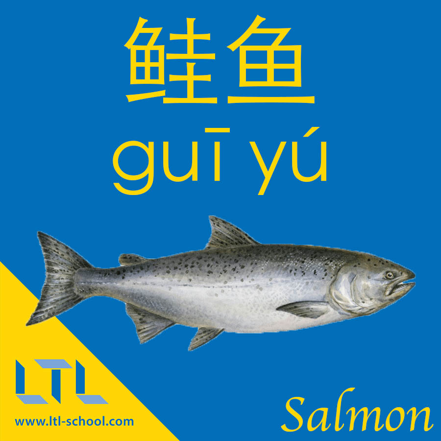 Salmon in Chinese