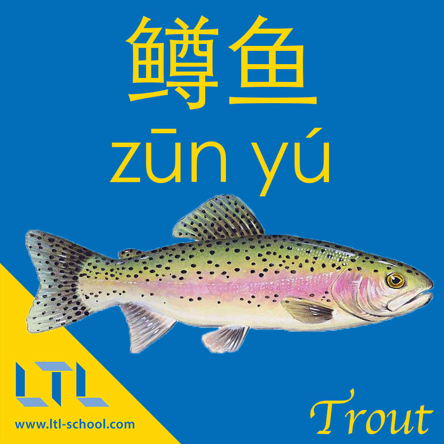 Trout in Chinese