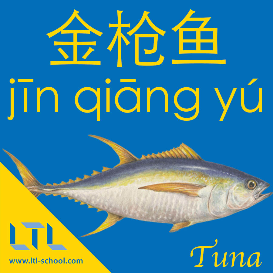 Tuna in Chinese