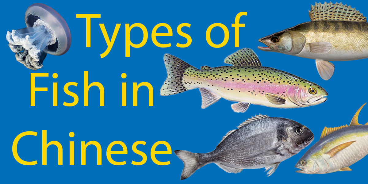 Types of Fish in Chinese